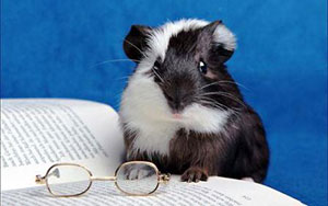 Students as guinea pigs? Exploring the ethics of pedagogic research